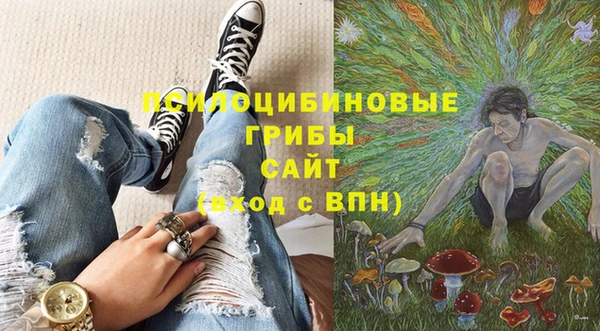 прущая мука Алзамай