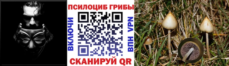 Псилоцибиновые грибы ЛСД Спасск-Рязанский
